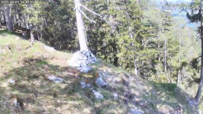 Live Webcam Steinadler Klausbachtal