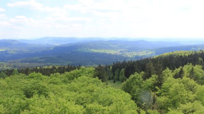 Fotowebcam Böhmerwaldturm-Süd