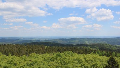 Fotowebcam Böhmerwaldturm-Ost