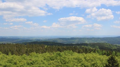 Fotowebcam Böhmerwaldturm-Ost