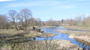 Donaueschingen3 Donaueschingen3