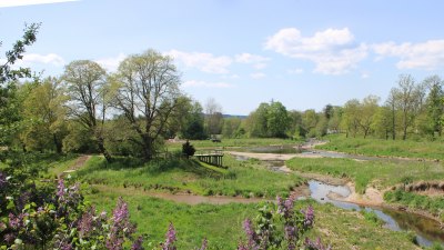 Fotowebcam Auepark Donauursprung Breg2