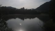 Reifinger See Reifinger See