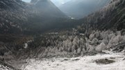Halsgrube-Bartgeier Halsgrube-Bartgeier