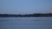 Hartsee Hartsee