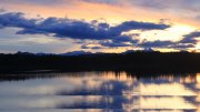 Hartsee Hartsee