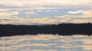 Hartsee Hartsee