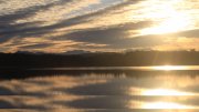 Hartsee Hartsee