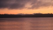 Hartsee Hartsee