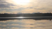 Hartsee Hartsee