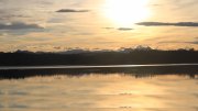 Hartsee Hartsee