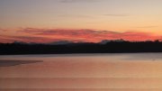 Hartsee Hartsee