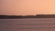 Hartsee Hartsee