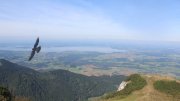 Hochfelln-Nord Hochfelln-Nord