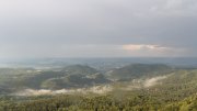 Hochwald Hochwald