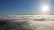Hochwald-Ost Hochwald-Ost