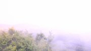 Hochwald-Ost Hochwald-Ost