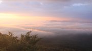 Hochwald-Ost Hochwald-Ost