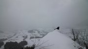 Eggerschneid Eggerschneid
