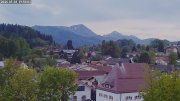 Siegsdorf-Störche