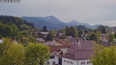 Siegsdorf-Störche