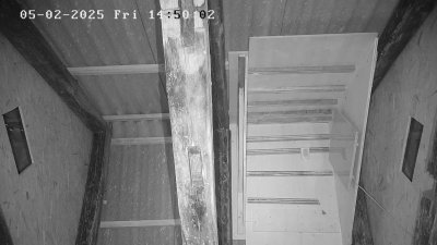 Live Webcam Fledermaushaus Waischenfeld #3